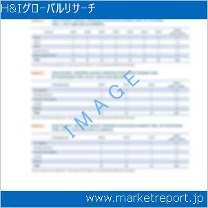 市場と産業調査レポートのイメージ